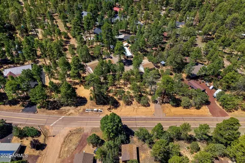2884 Pine Rim Rd, Overgaard, AZ 85933 photo 70