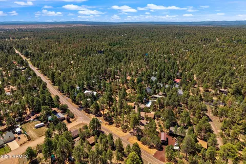 2884 Pine Rim Rd, Overgaard, AZ 85933 photo 78