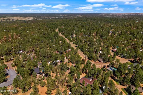 2884 Pine Rim Rd, Overgaard, AZ 85933 photo 76