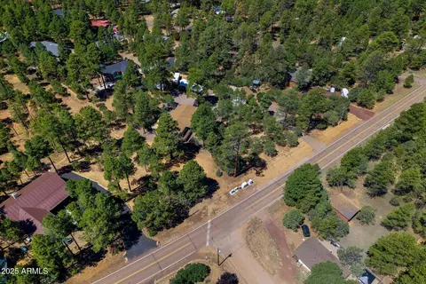 2884 Pine Rim Rd, Overgaard, AZ 85933 photo 71