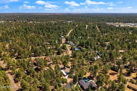 2884 Pine Rim Rd, Overgaard, AZ 85933 photo 75