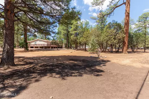 2884 Pine Rim Rd, Overgaard, AZ 85933 photo 5