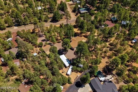 2884 Pine Rim Rd, Overgaard, AZ 85933 photo 74