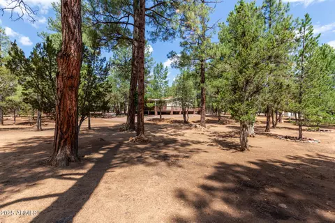 2884 Pine Rim Rd, Overgaard, AZ 85933 photo 3