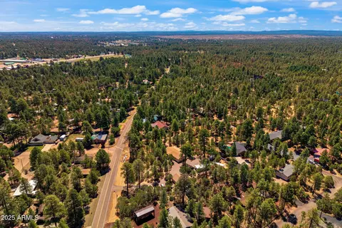 2884 Pine Rim Rd, Overgaard, AZ 85933 photo 79