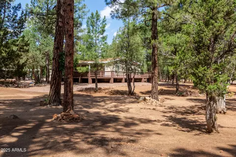 2884 Pine Rim Rd, Overgaard, AZ 85933 photo 4