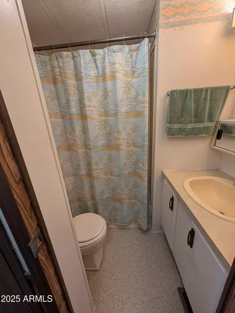 203 E Cholla Ln, Florence, AZ 85132 photo 4