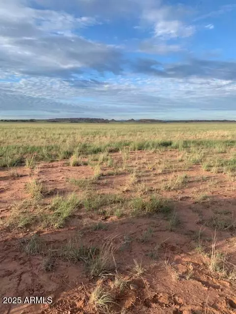 tbd 45 Acres -- #28, Saint Johns, AZ 85936