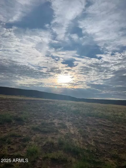 tbd 41 Acres -- #25, Saint Johns, AZ 85936