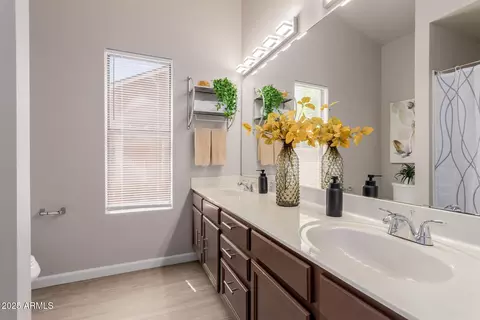1043 S Buchanan St, Gilbert, AZ 85233 photo 24