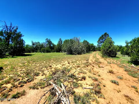 8571 Haven Crest Dr #229, Happy Jack, AZ 86024