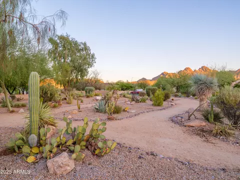 Exterior - 2537 E Vogel Ave E, Phoenix, AZ 85028 photo 4 of 8