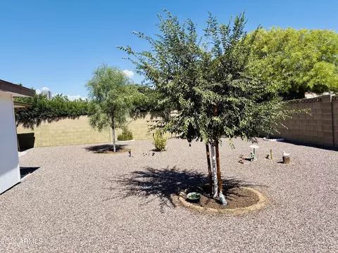 Exterior - 6029 El Paso St, Mesa, AZ 85205 photo 3 of 5
