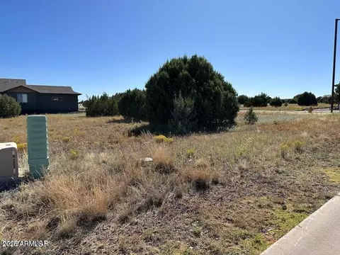 1001 S Ridgeway Pl #111, Show Low, AZ 85901