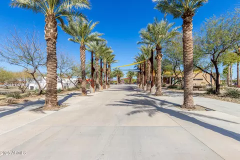 View/Area - 9909 E Theia Dr, Mesa, AZ 85212 photo 13 of 29