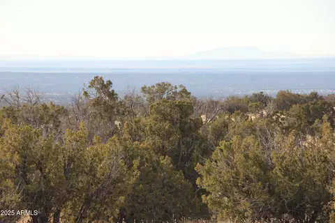 n7201n7201 N County Road Rd #91, Saint Johns, AZ 85936