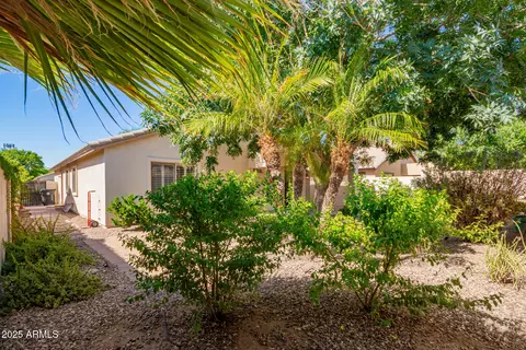 Exterior - 2736 E Dragoon Cir, Mesa, AZ 85204 photo 7 of 10