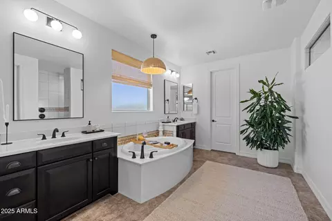 Bath - 10439 E Starion Ave, Mesa, AZ 85212 photo 2 of 6