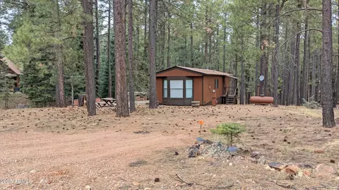 2117 Joe Springs Dr #501, Forest Lakes, AZ 85931