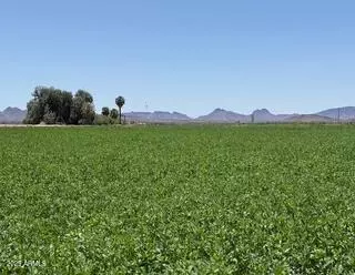 0 W Desert Rose Rd #-, Arlington, AZ 85322