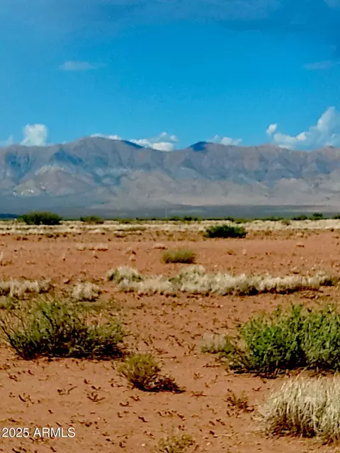tbd N Ee Ranch Lot 2 Of 2 Rd #2 OF 2, Mcneal, AZ 85617