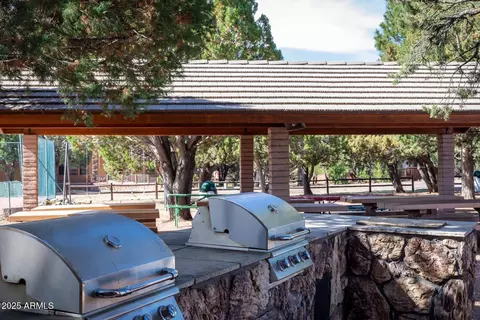 2337 Immelman Cir, Overgaard, AZ 85933 photo 29