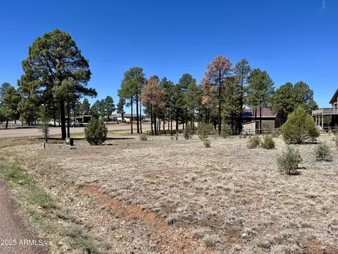 2337 Immelman Cir, Overgaard, AZ 85933 photo 24