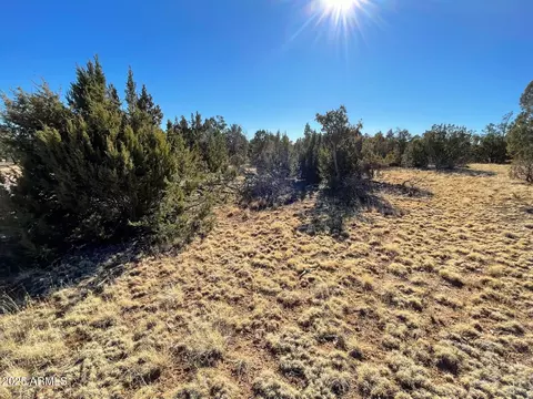 8371 Haven Crest Dr #230, Happy Jack, AZ 86024