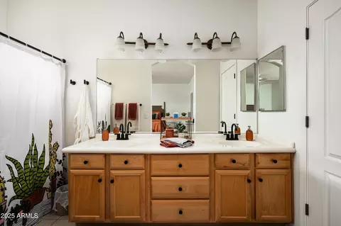 Bath - 3150 E Beardsley Rd #1032, Phoenix, AZ 85050 photo 2 of 3