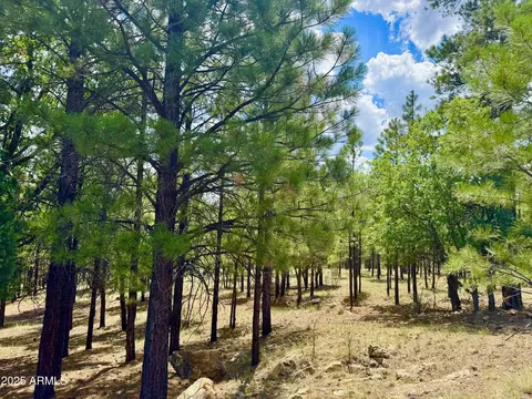 2684 Apache Dr #571, Happy Jack, AZ 86024
