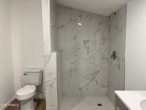 Bath - 1646 S 28th Dr, Phoenix, AZ 85009 photo 3 of 3