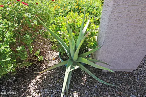 Exterior - 4357 E Angela Dr, Phoenix, AZ 85032 photo 6 of 8