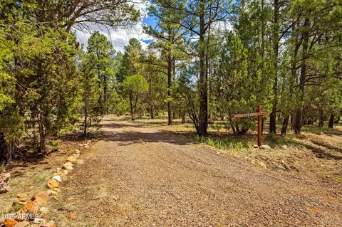 2084 Indian Trl, Overgaard, AZ 85933 photo 39