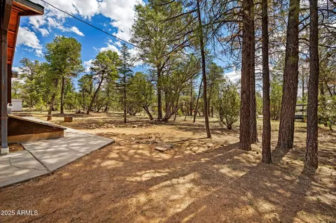2084 Indian Trl, Overgaard, AZ 85933 photo 6