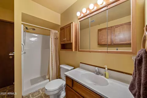 2084 Indian Trl, Overgaard, AZ 85933 photo 26