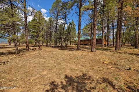 2084 Indian Trl, Overgaard, AZ 85933 photo 35