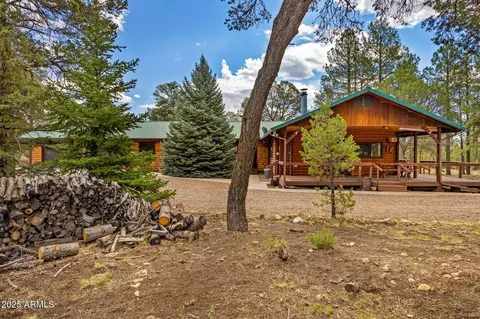 2084 Indian Trl, Overgaard, AZ 85933 photo 5