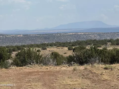 lot545 C Woodland Valley Rnch #545C, Saint Johns, AZ 85936