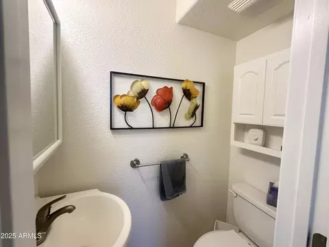 759 S Diamond Dr, Apache Junction, AZ 85119 photo 64