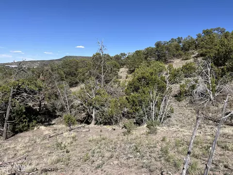 nnnn W Doubletree Road #-, Eagar, AZ 85925 photo 11