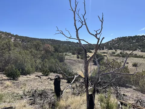 nnnn W Doubletree Road #-, Eagar, AZ 85925 photo 7