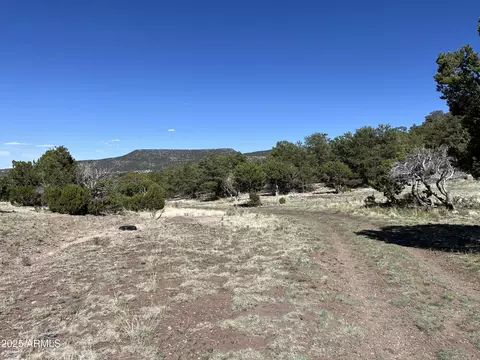 nnnn W Doubletree Road #-, Eagar, AZ 85925 photo 9