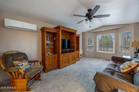 2710 Hooks Way, Overgaard, AZ 85933 photo 21