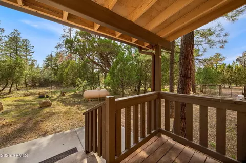 2710 Hooks Way, Overgaard, AZ 85933 photo 24