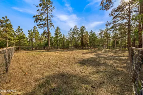 2710 Hooks Way, Overgaard, AZ 85933 photo 29