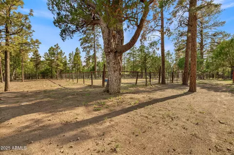 2710 Hooks Way, Overgaard, AZ 85933 photo 30