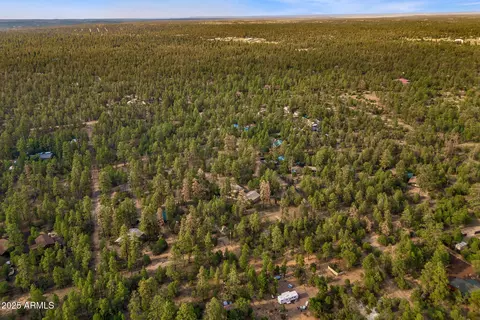 2710 Hooks Way, Overgaard, AZ 85933 photo 40