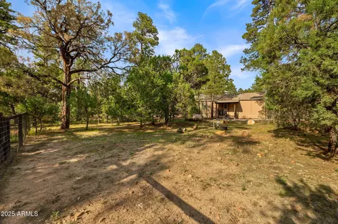 2710 Hooks Way, Overgaard, AZ 85933 photo 28