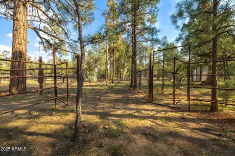 2710 Hooks Way, Overgaard, AZ 85933 photo 46