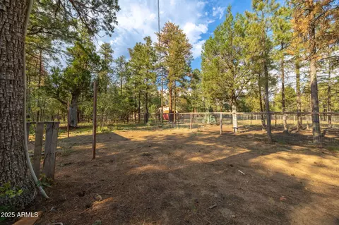 2710 Hooks Way, Overgaard, AZ 85933 photo 45